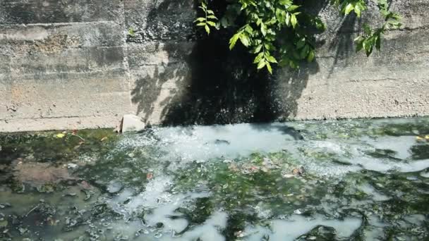 Bilgewasser wird direkt in Kanal eingeleitet — Stockvideo