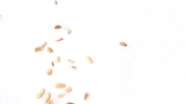 Чистые орехи попадают в белый свет — стоковое видео