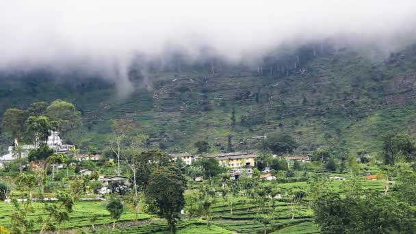 Montanhas nubladas, plantações de chá, floresta tropical, aldeias — Vídeo de Stock