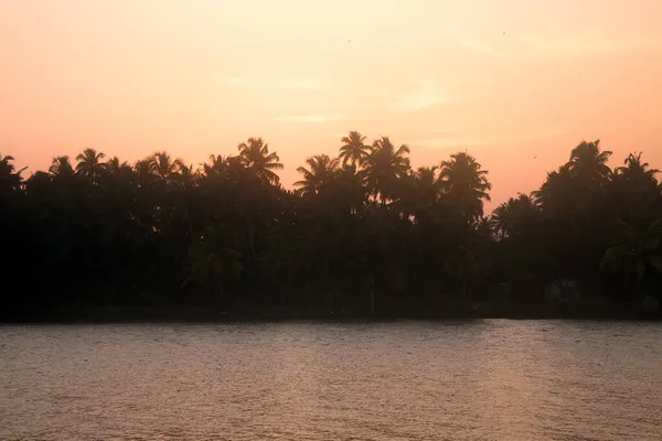 Solnedgång Indiska Floden Sol Palmer Flygande Fåglar — Stockfoto