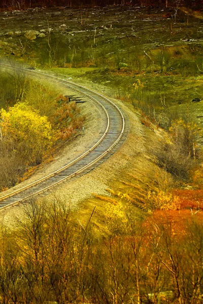 Jesienna Sceneria Kolej Liści Jasnożółtych — Zdjęcie stockowe