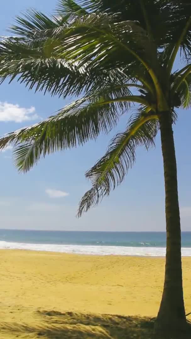 Den perfekta stranden för en semester — Stockvideo