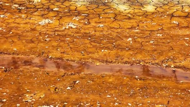 破烂不堪的泥泞是一条有毒的小河 — 图库视频影像