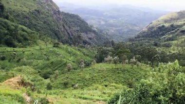 Sri Lanka: Bulut ormanları ve çay tarlaları