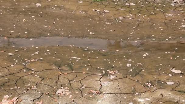 泥だらけの地面は有毒物質の流れです — ストック動画