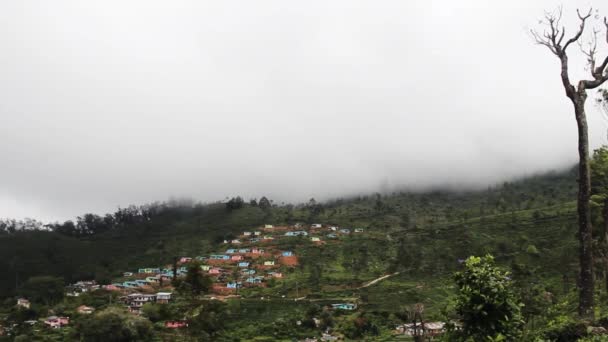 森林山斜坡上的村庄 — 图库视频影像