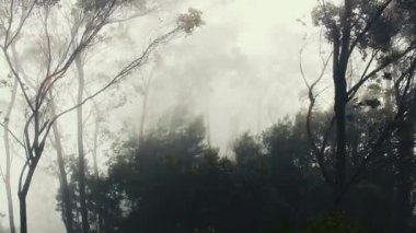Sri Lanka 'da muson yağmurları