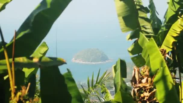 Paesaggio tropicale meraviglioso — Video Stock