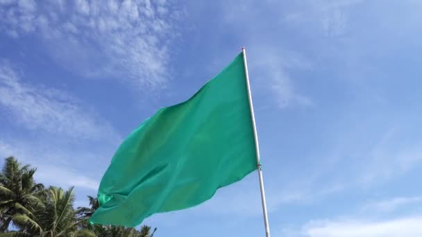 Grünes Banner der Fahne flattert — Stockvideo