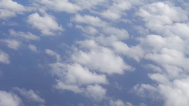 Flyger över molnen — Stockvideo