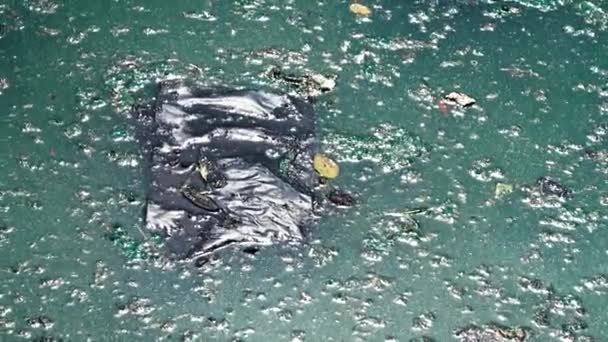 Βρώμικο ανθισμένο νερό και μαύρη πλαστική σακούλα στη λίμνη. — Αρχείο Βίντεο