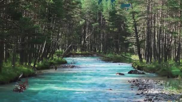 Bergskogar och klarblått vatten från glaciärer. — Stockvideo