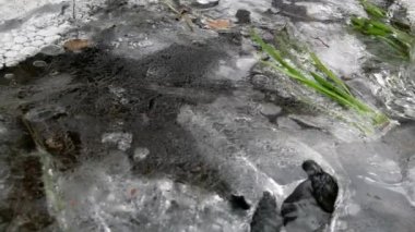 Hava kabarcıkları ilk buzun altında hareket eder