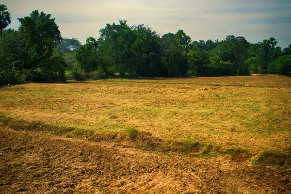Tarla Sürüldü Elle Işlendi Sulama Hendeği Hindistan Tarımının Çeşitliliği Ilkellikten — Stok fotoğraf