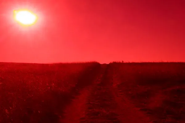 Road Fields Stretching Distance Unknown Surrealistic Art Infrared Photo — Stock Photo, Image