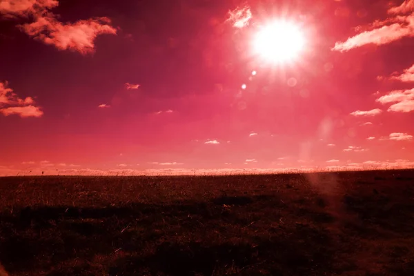 Grasfläche Den Stunden Der Untergehenden Sonne — Stockfoto