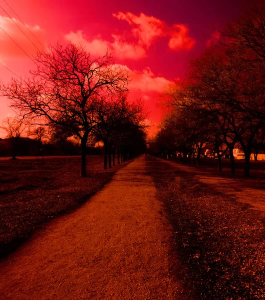 出発した冬の路地 夕方のジョギング 赤外線写真様式 — ストック写真