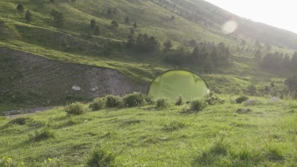 Tenda pendaki di perbatasan hutan konifer — Stok Video
