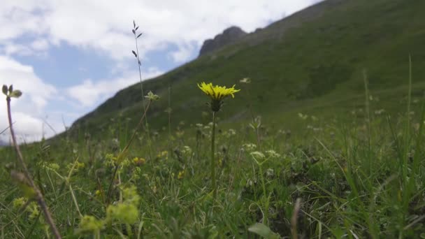 Encostas das montanhas do Cáucaso do Norte — Vídeo de Stock