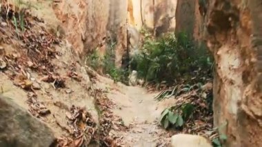 Dağ yolunda yürüyen