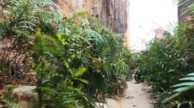 Dağ yolunda yürüyen