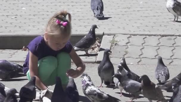 Fetita hraneste porumbeii pe strada — Videoclip de stoc