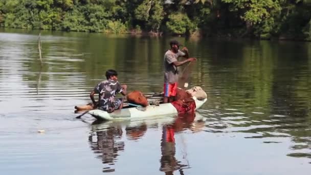 Pescadores ponen redes — Vídeo de stock