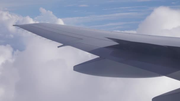 Uçağın penceresinden kanat — Stok video