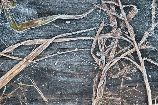 Gefrorener Hintergrund Aus Natürlichen Materialien Pflanzen Frost Auf Schwarzem Holz — Stockfoto