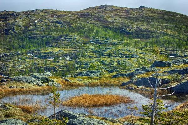 夏季带沼泽地的北部极地山地冻土带景观 — 图库照片