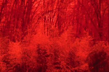 Autumn forest, wood landscape. Thermal impressionism