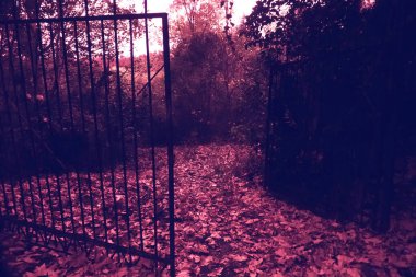 An open gate, wicket to a deserted and overgrown autumn estate. A living place abandoned by people before. Thermal image photo