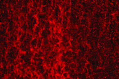 Background falling water jets. Abstract art, thermal impressionism