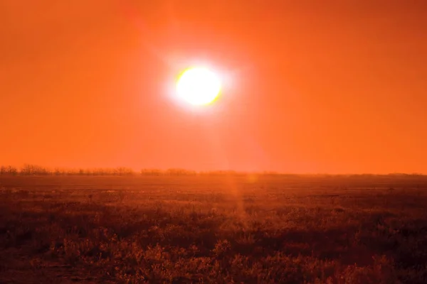 Sonnenaufgang Über Der Sagebush Halbwüste Veld Wärmebildkamera — Stockfoto