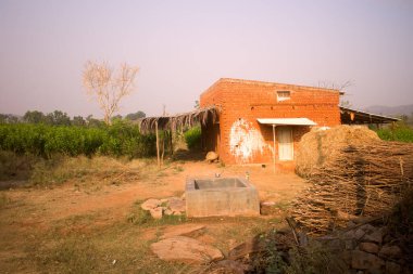 Eyaletteki yoksul Hintlilerin evi. Yakacak odun demetleri, çim örtüsü