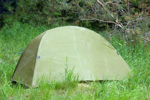Zelten Freien Mit Zelt Wald Sommer — Stockfoto