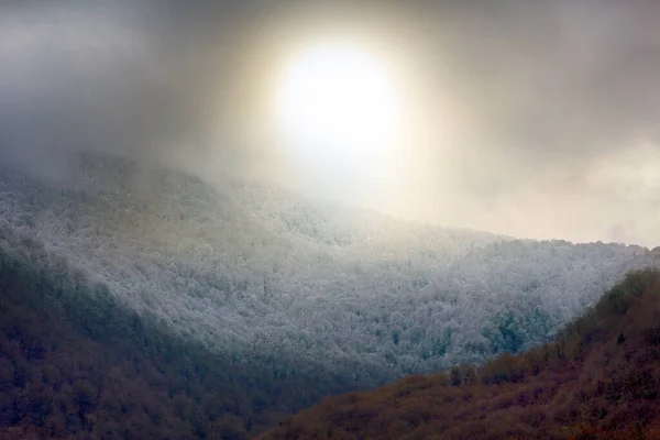 Subtropische Laubwälder Bei Kaltem Wetter Und Schneefall Sichtbare Einflussgrenze Des — Stockfoto