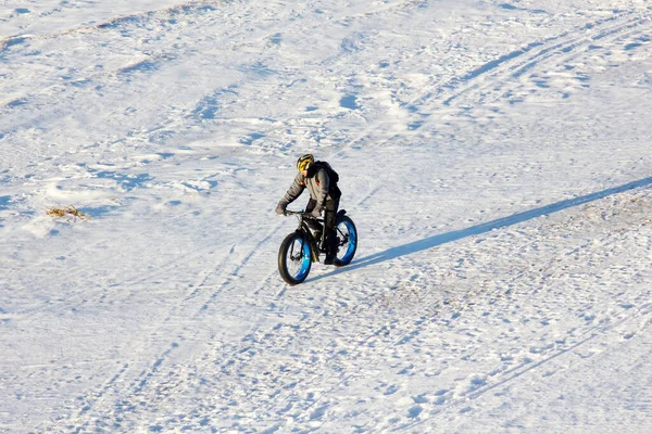 Rosja Zelenogorsk Listopada 2016 Rowerzysta Rowerze Tłuszczem Przemierza Zamarznięte Zimowe — Zdjęcie stockowe