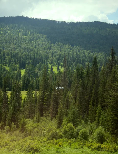 Cubierto Bosques Mixtos Las Montañas Altai Asia Nororiental — Foto de Stock