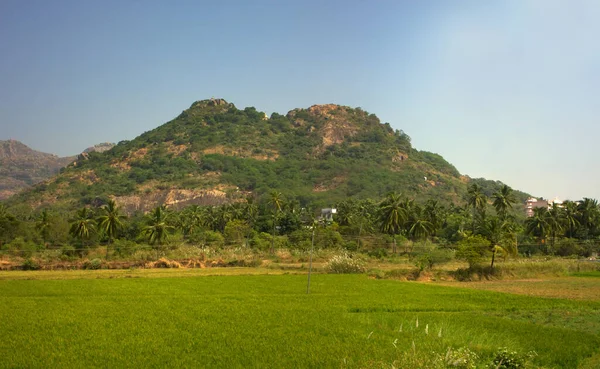 Südindien Felder Palmenhaine Und Eine Villa Den Ausläufern Des Kardamom — Stockfoto