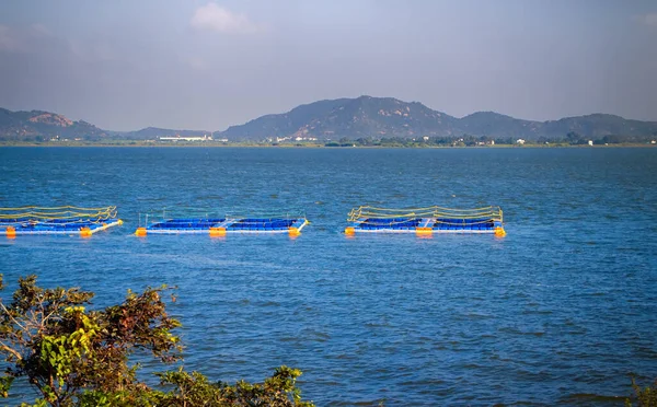 インドの大湖で漁業をしています ケージ魚養殖 — ストック写真