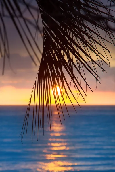 Робить Наші Свята Щасливими Ідилічні Святкові Дні Пляжі Гарячих Країнах — стокове фото