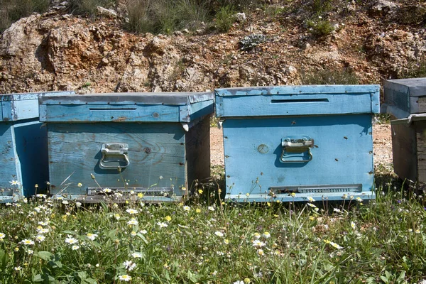 Bienenstöcke Und Andere Imkereigeräte Zur Bienenzucht Und Honiggewinnung Honigernte Imkerei — Stockfoto