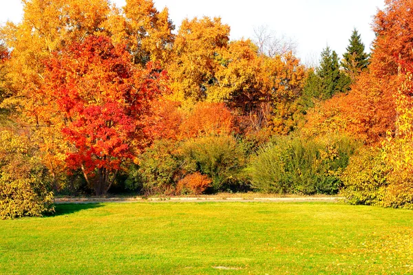 Podzimní krajina — Stock fotografie
