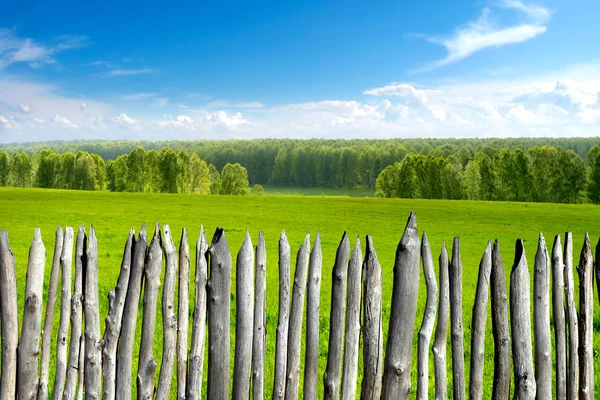 Paisagem de verão com cerca — Fotografia de Stock