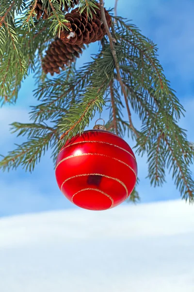 Christmas decorations — Stock Photo, Image