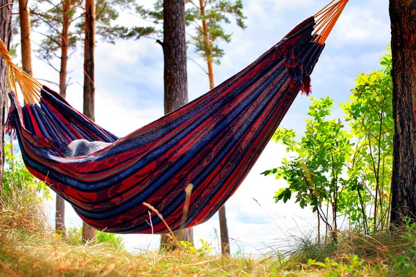 Hammock in the Forest — Stock Photo, Image