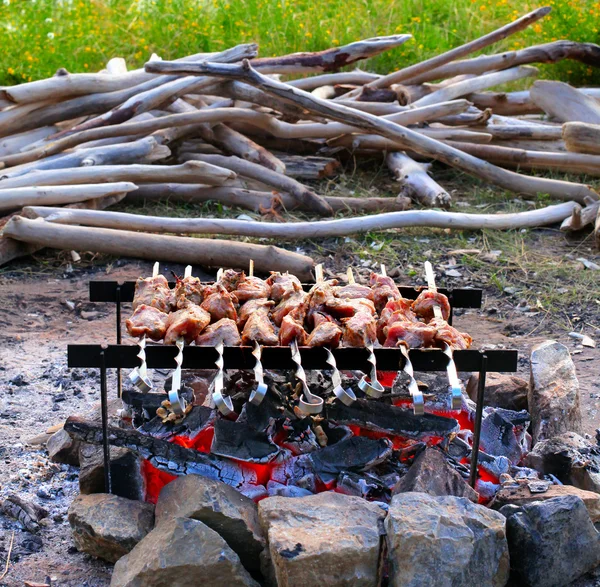 Tabaco de carne shish — Fotografia de Stock