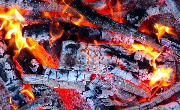 Live Coals — Stock Photo, Image