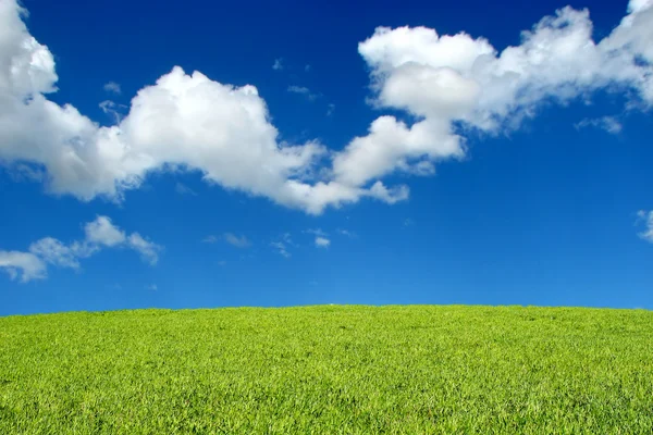 Fältet och sky landskap — Stockfoto